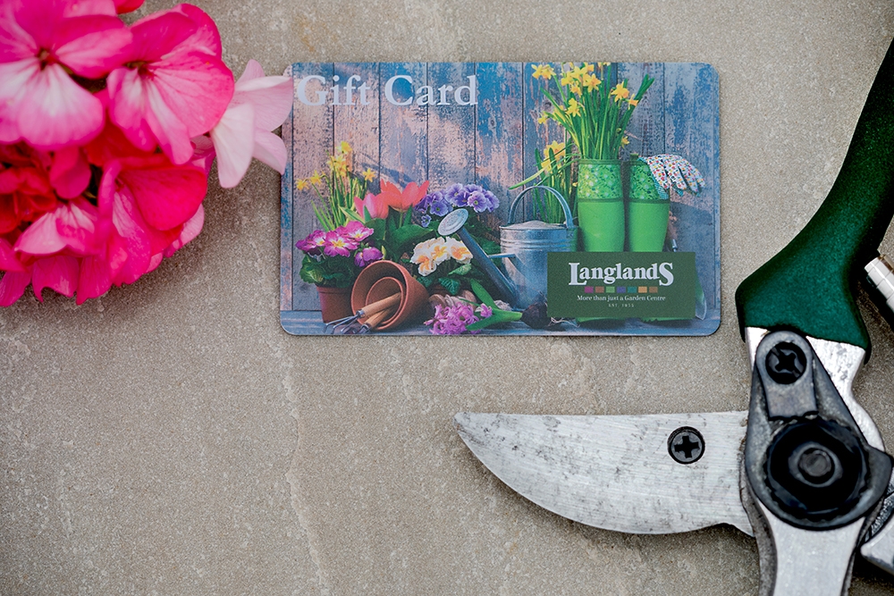 Plastic Gift Cards for Businesses & Shops Plastic Card Experts