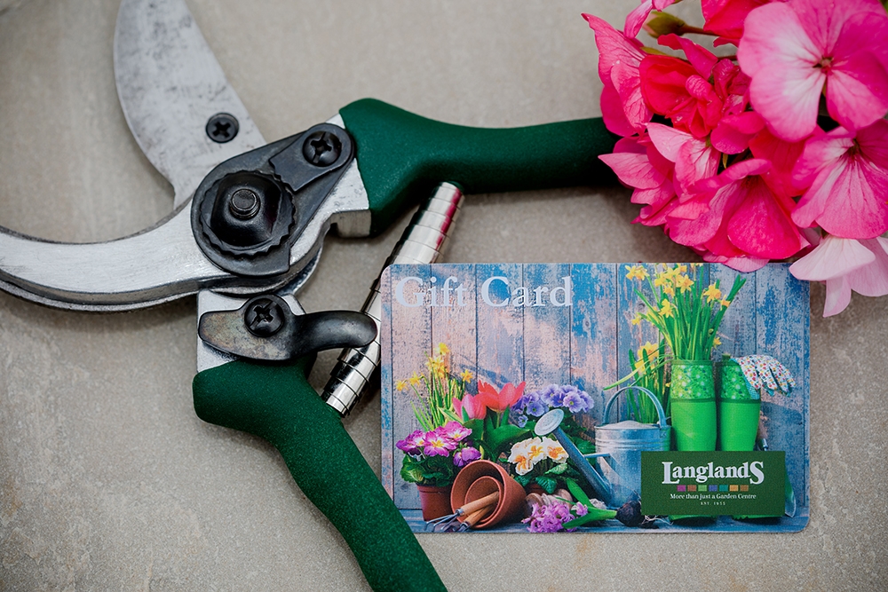 Plastic Gift Cards for Businesses & Shops Plastic Card Experts